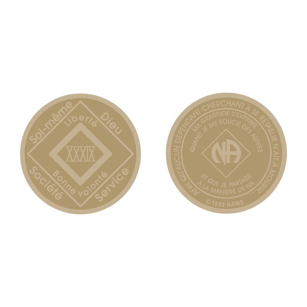 BRONZE MEDALLION ENGLISH